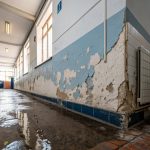 Salt Lake water damage repair tips every student should know