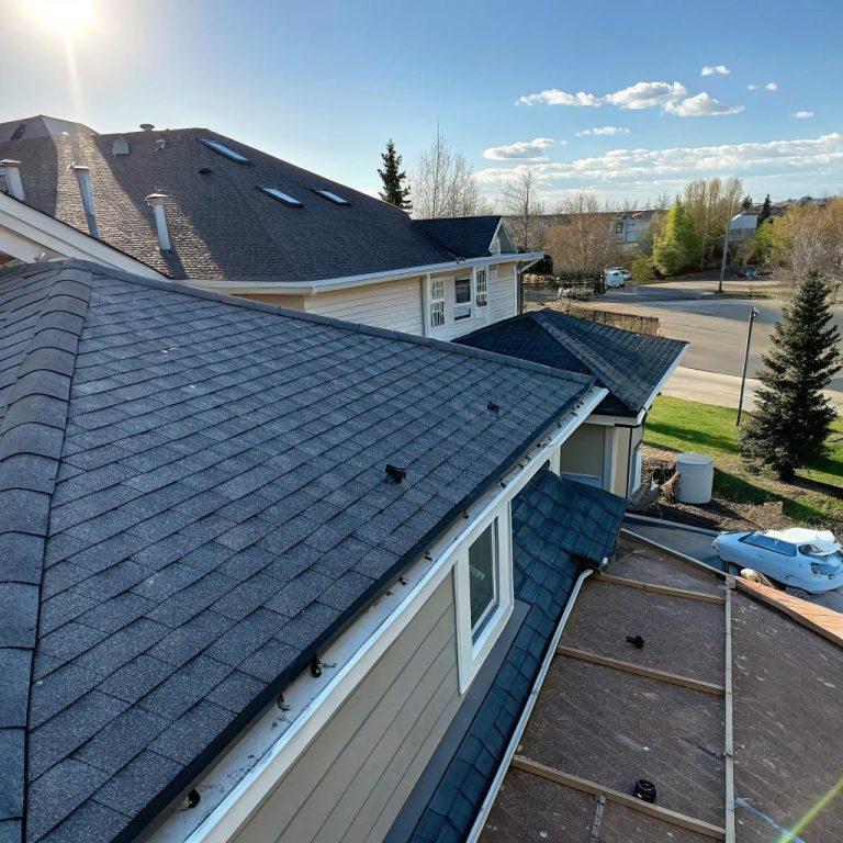 Read more about the article How Calgary Roof Repair Inspires Student Startups
