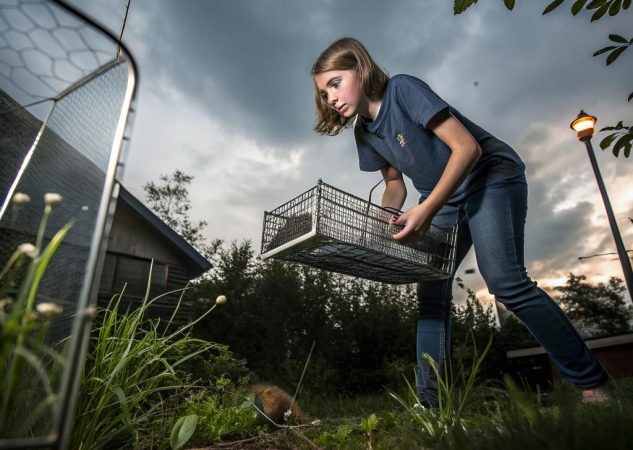How Students Are Driving Smarter Rodent Control Dallas